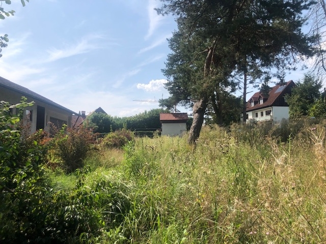 Blick nach Norden zur Straße