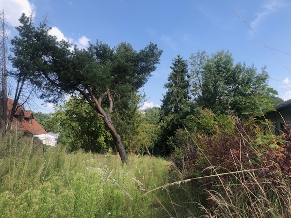 Blick nach Osten