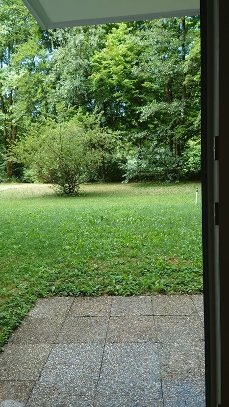 Blick zum Forstenrieder Park