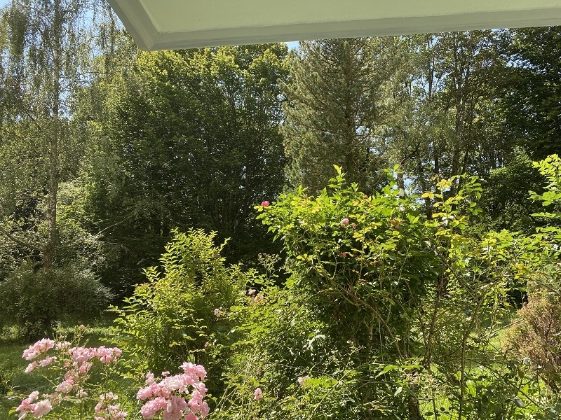 Blick von der Terrasse