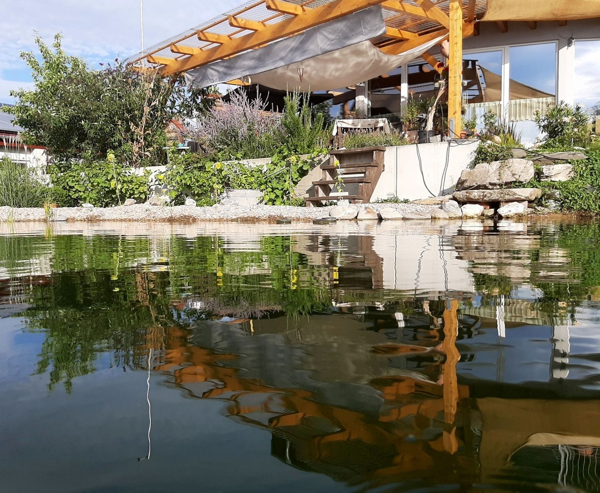 Deich mit Spiegelung Haus