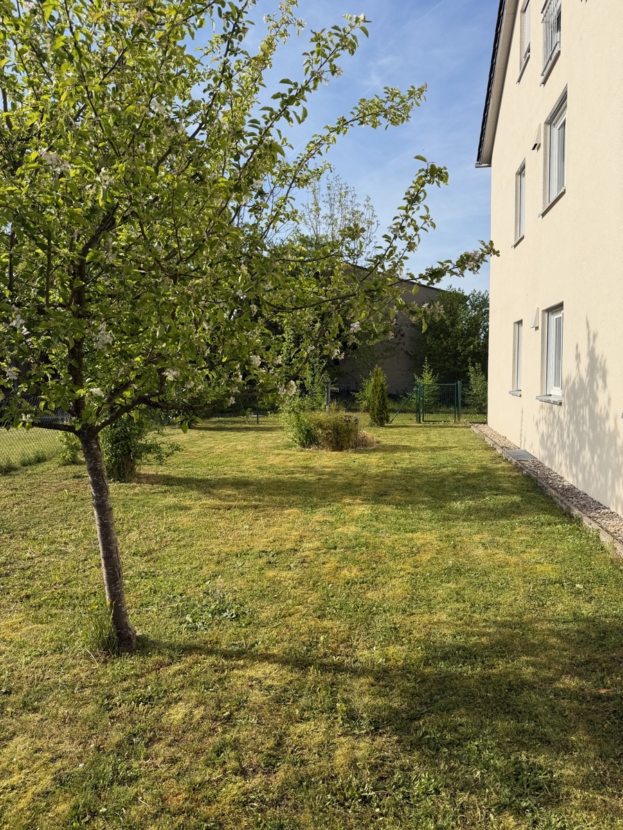 Obstgarten