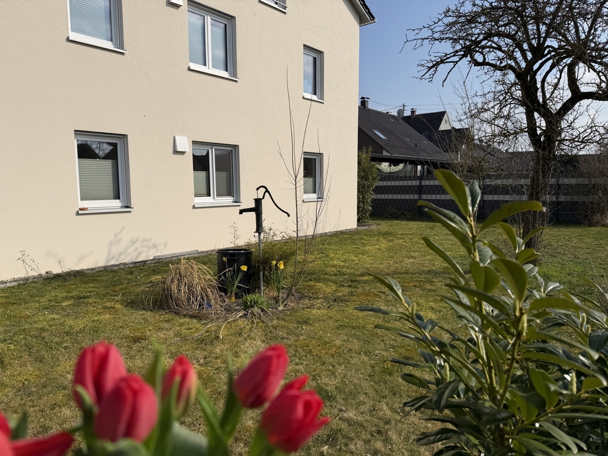 Eigener Obstgarten im Frühlingzur Westseite