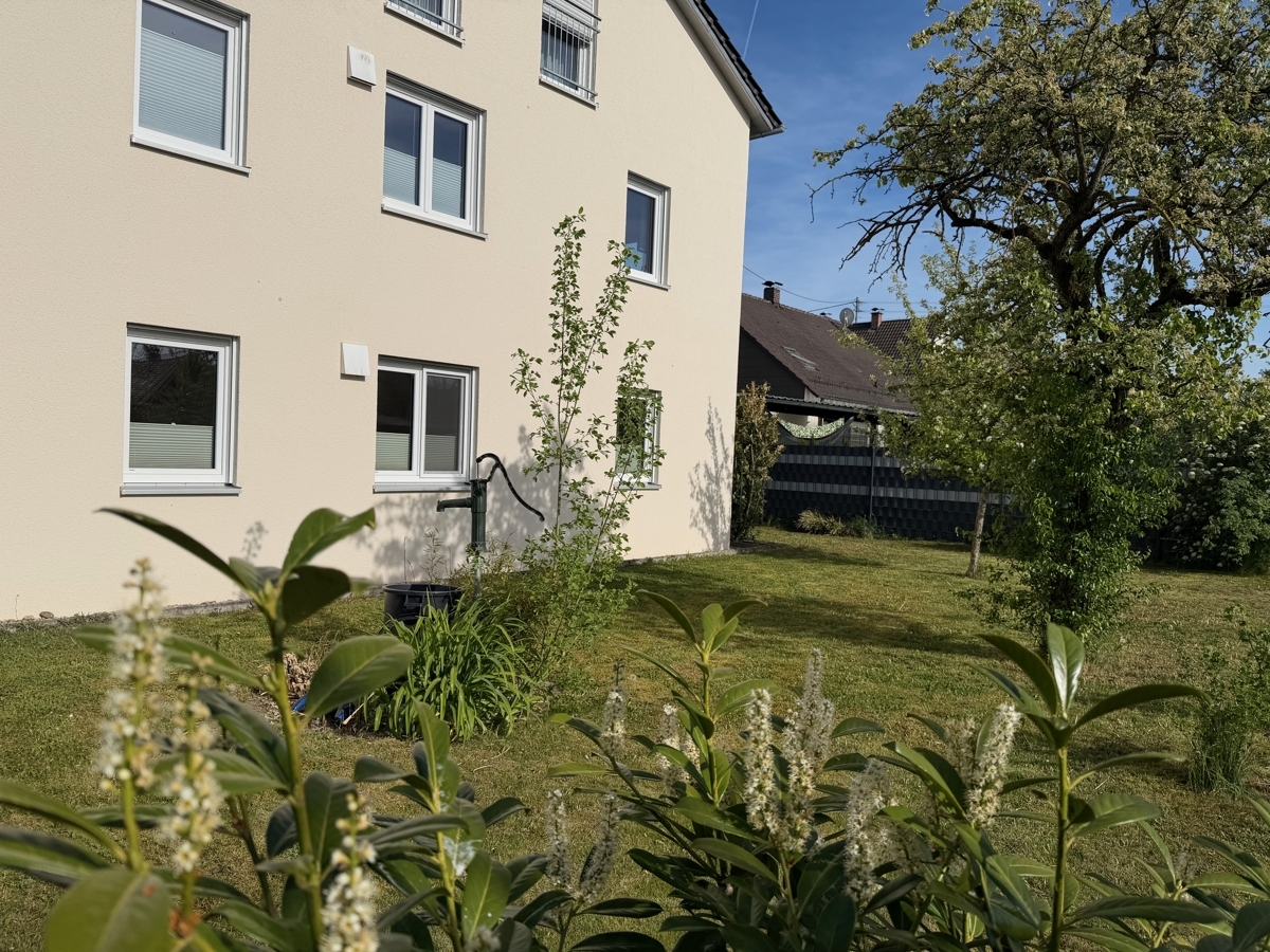 Obstgarten auf der Westseite