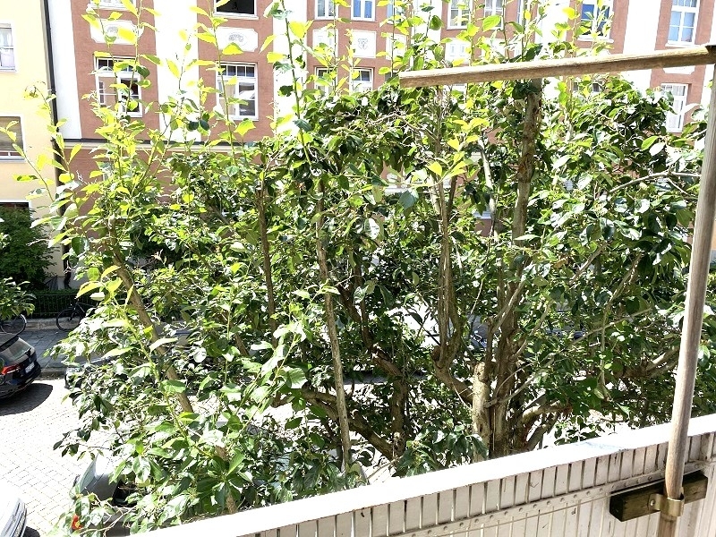 Blick von der Loggia 
