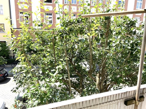 Blick von der Loggia