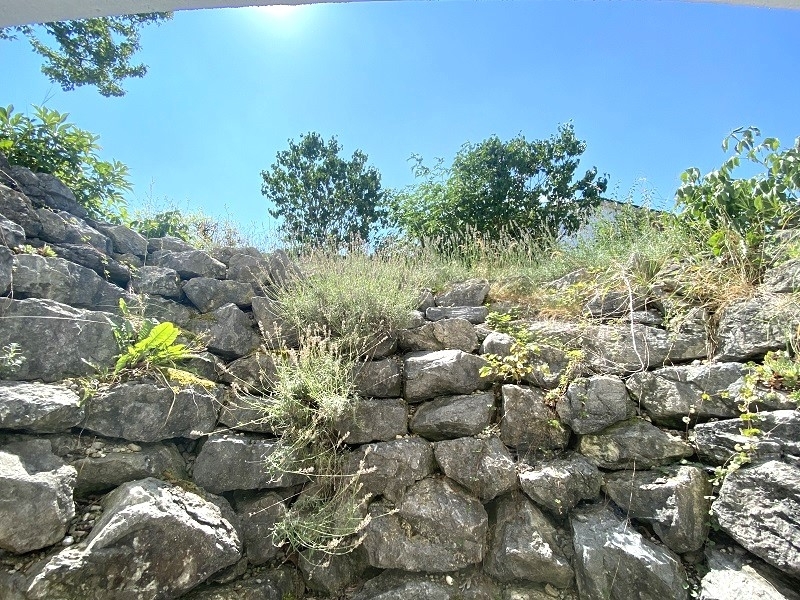 Blick von Einliegerwohnung (2)