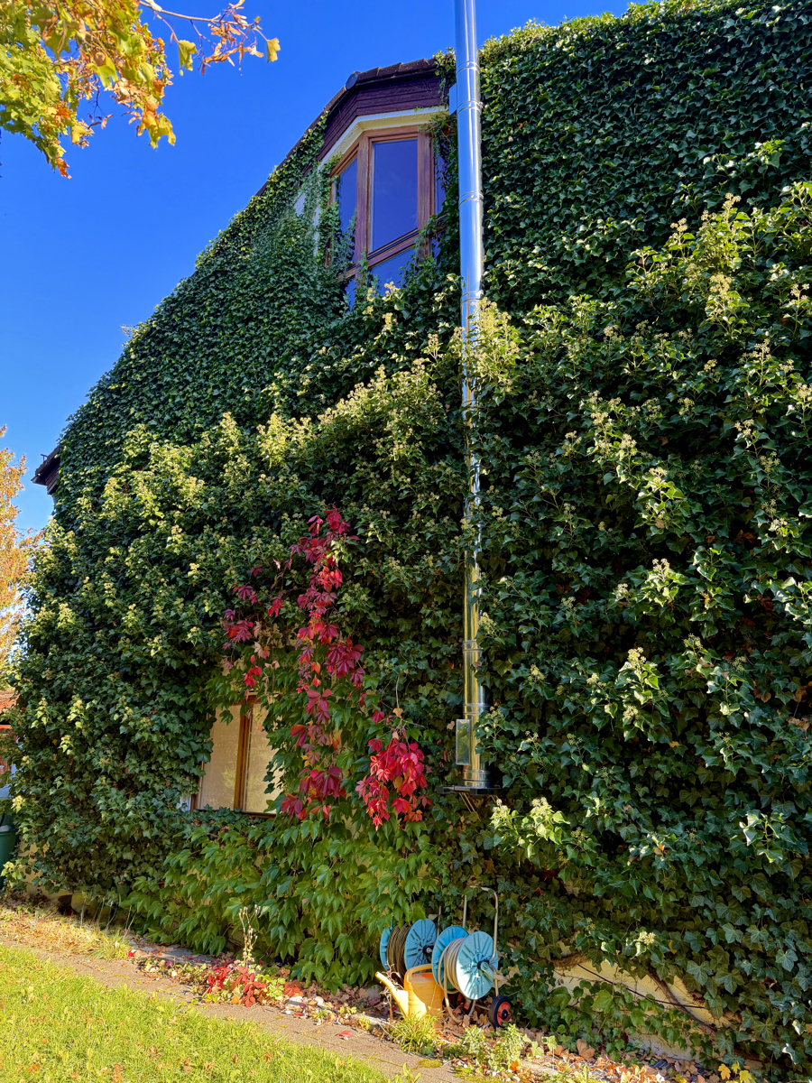 Ansicht der Hausfassade jetzt zu Herbstbeginn