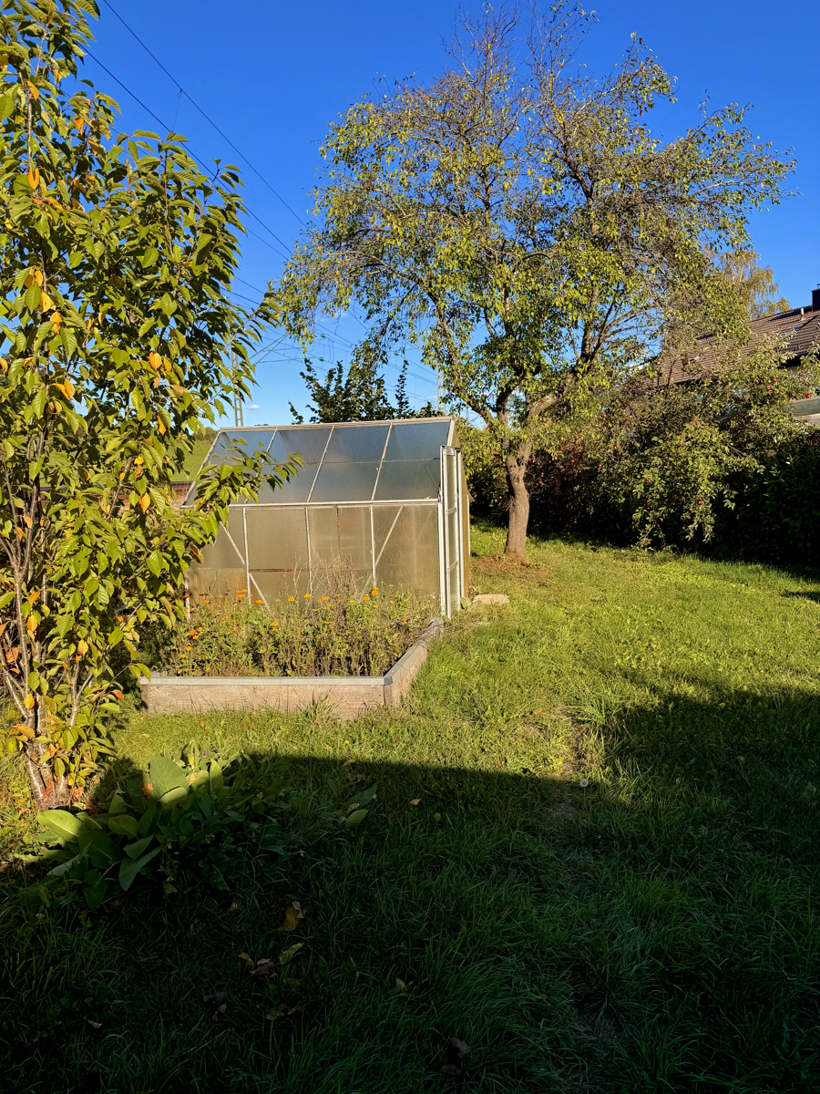 Zugang zum Obstgarten mit Plaumenbaum