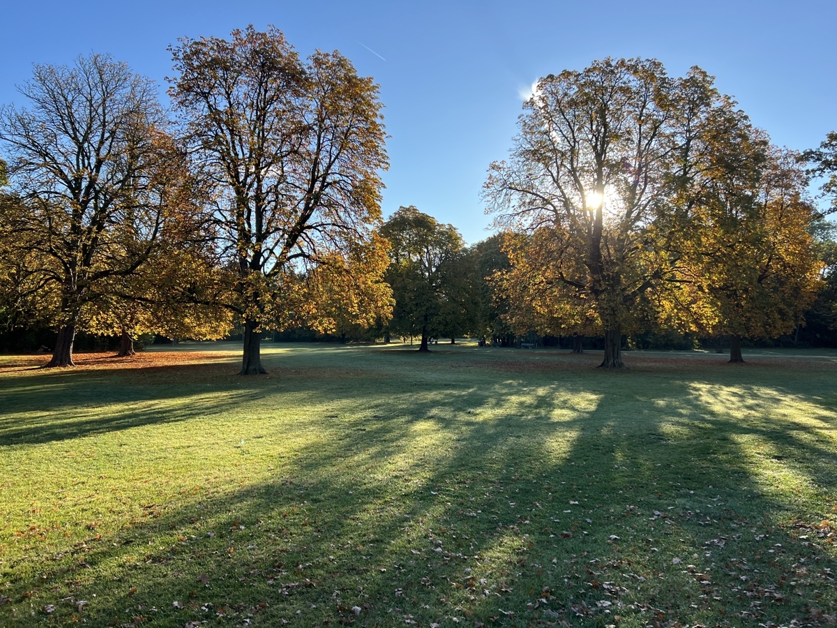 Am Hirschgarten