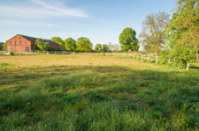 Großer Stall mit Wiese