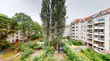 Blick in den  Garten