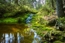 Nationalpark Eifel