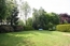 Sonniger Garten mit Rhododendren und Buchsbäumen