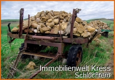 Musterbild