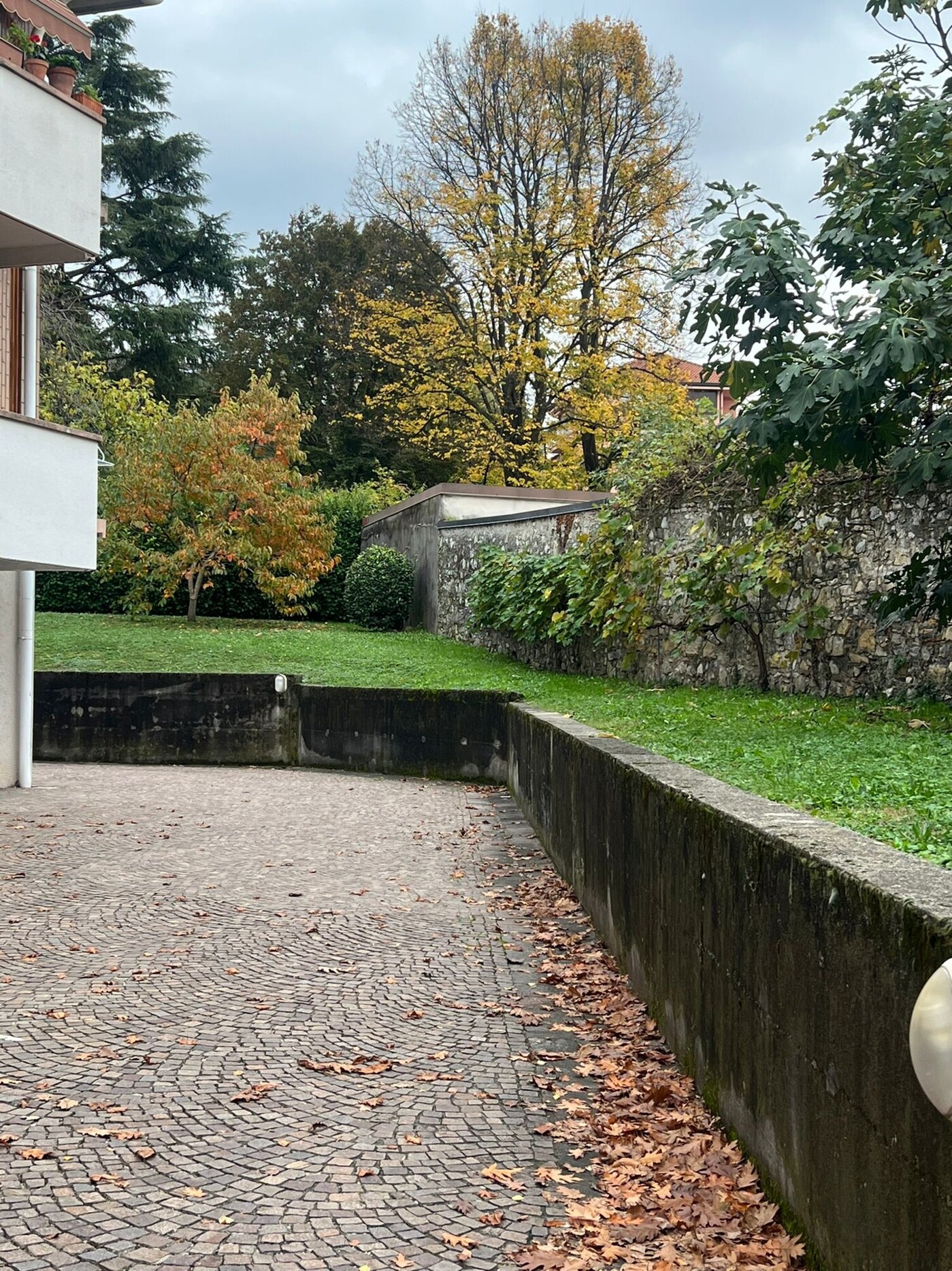 WhatsApp Image 2024-10-21 at 17.45.01