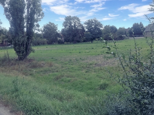 seitlicher Blick auf das Grundstück