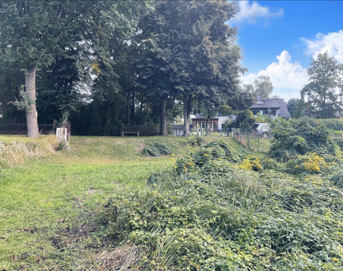 Blick vom Grundstück zur Straße