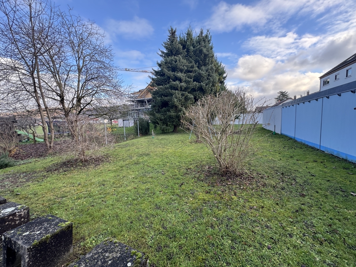 gemeinschaftlicher Garten