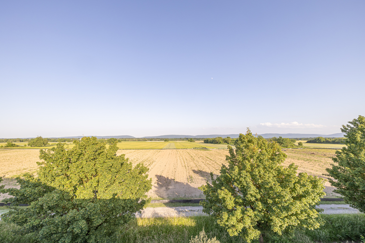 Ausblick von der Terrasse