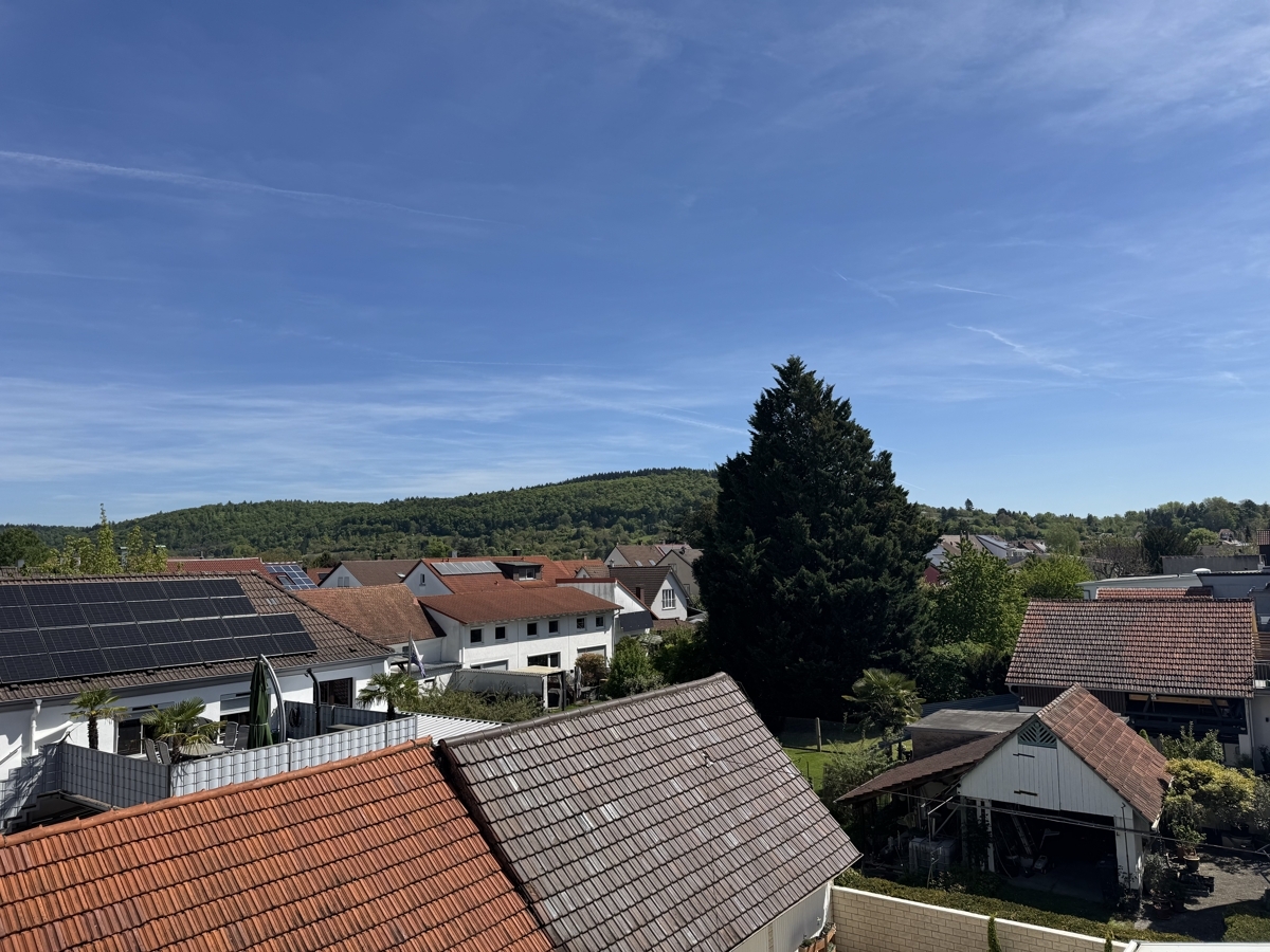 Blick über Weingarten