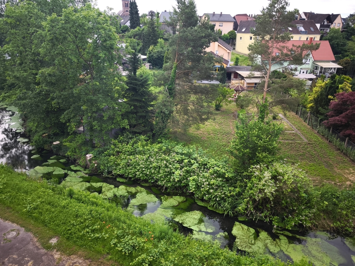 Aussicht vom Balkon