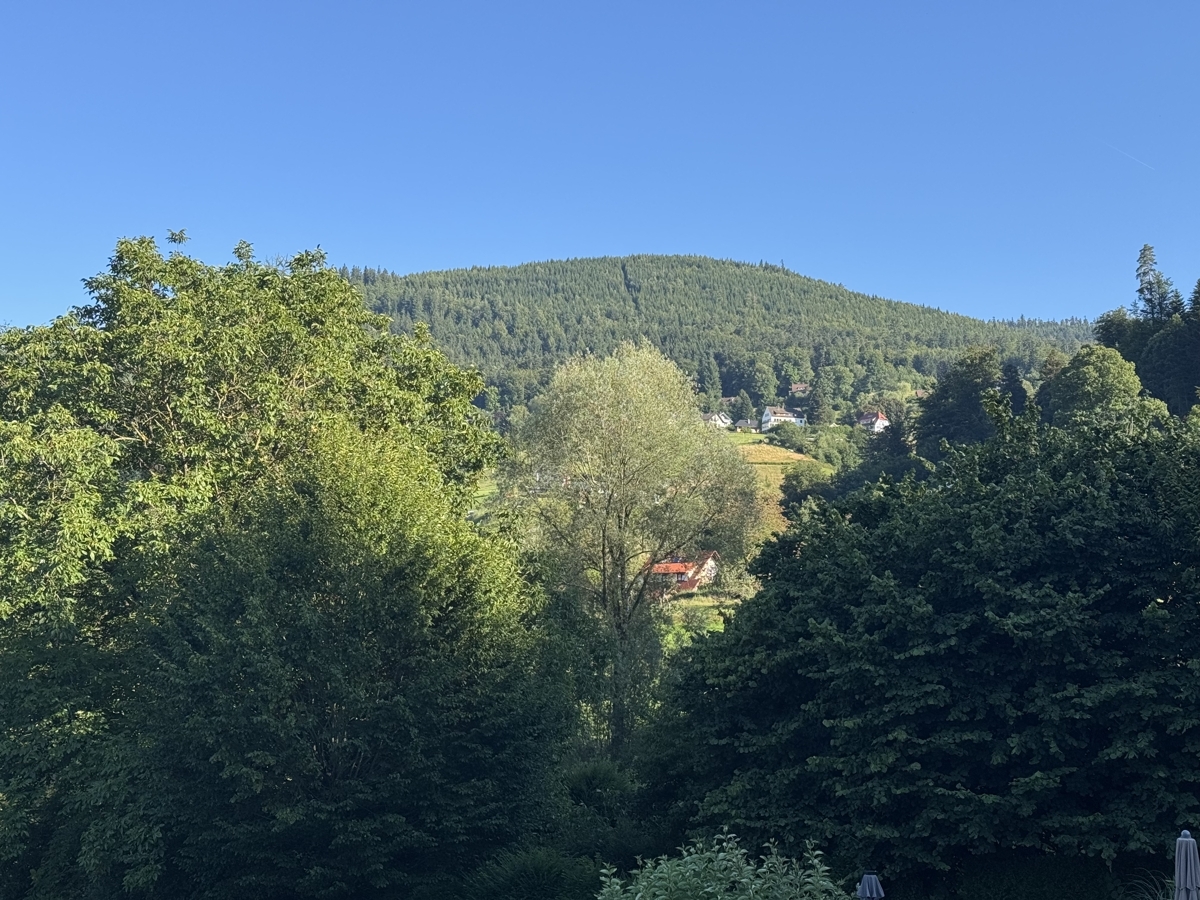 Ausblick
