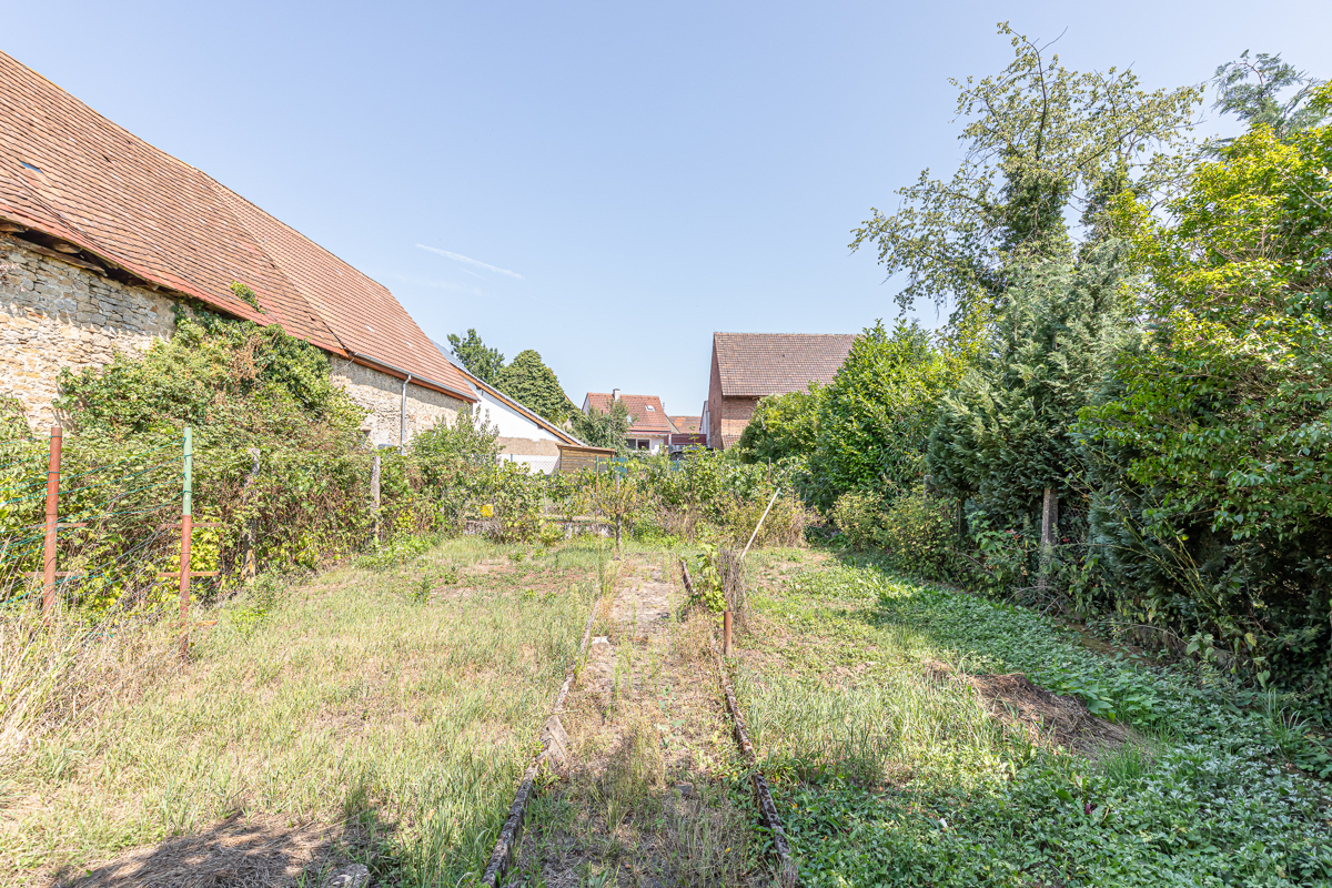 Gartenansicht