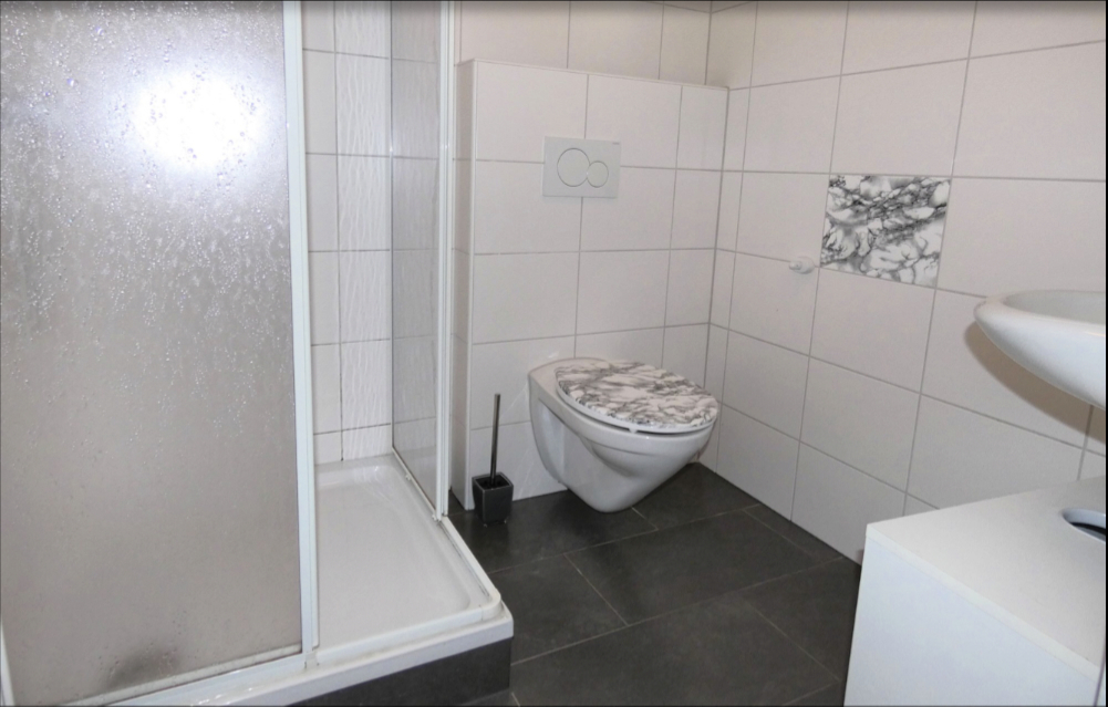 Badezimmer_ausgabeutes Nebengebäude