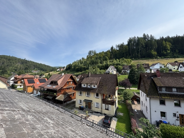 Ausblick