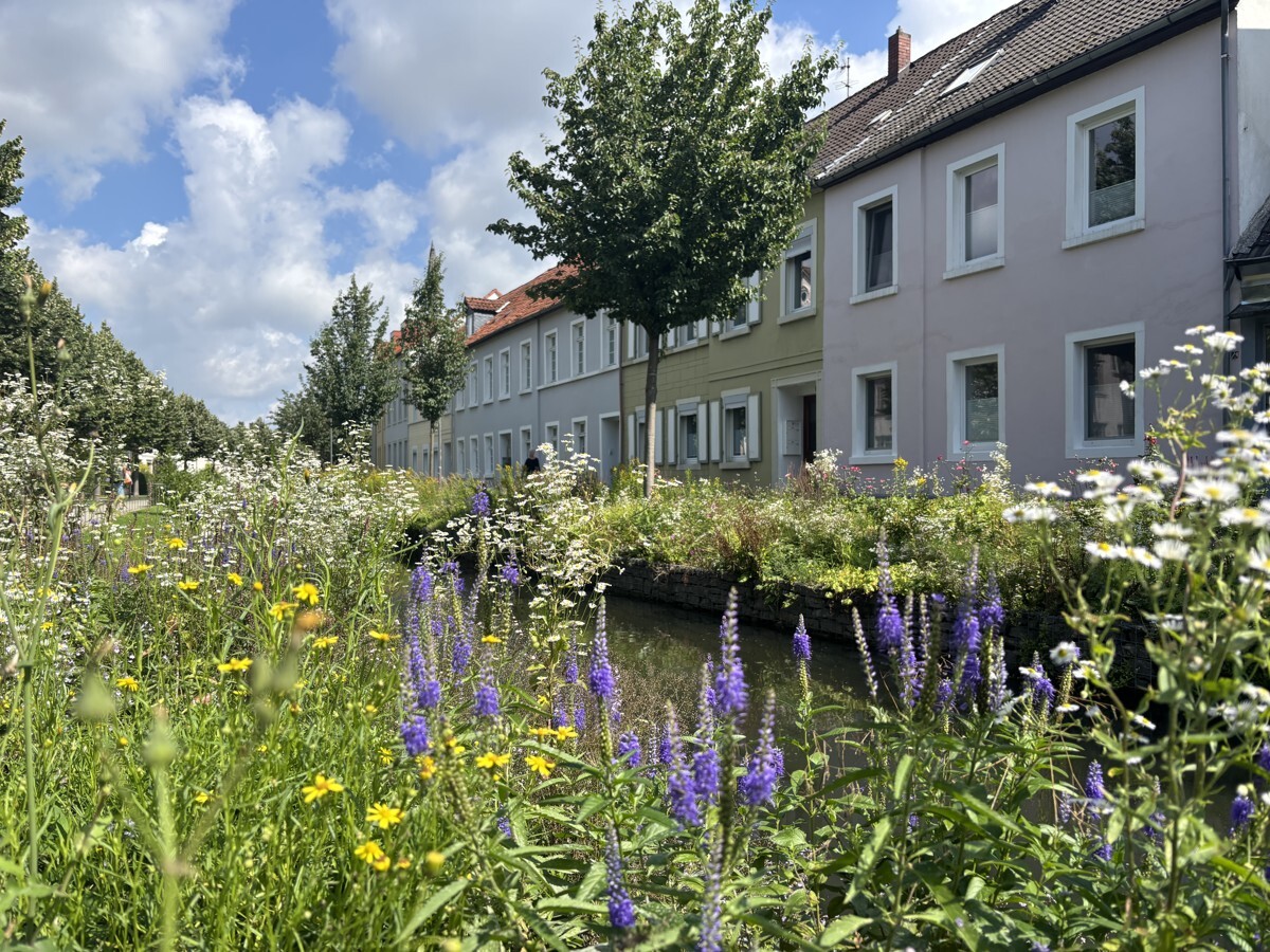 Detmolder Innenstadt