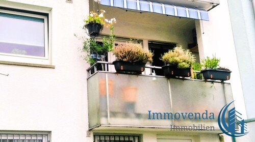 IMG_20231106_154051~4(2)