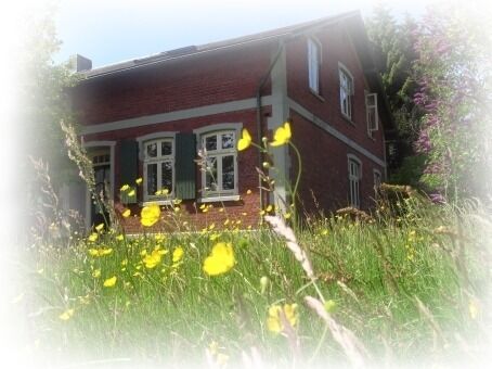 SOMMERFOTO