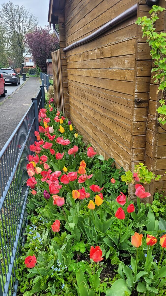 Eigenes Blumenmeer