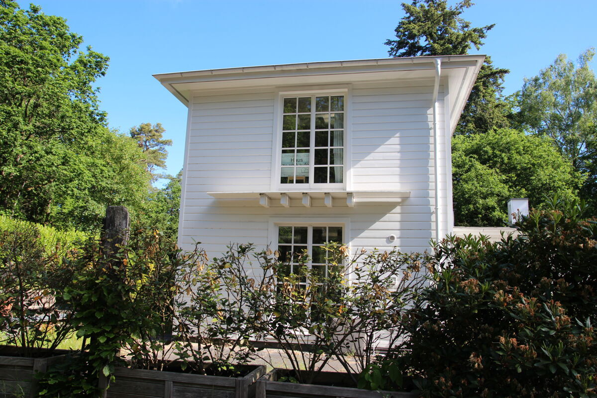 Eingewachsener Garten