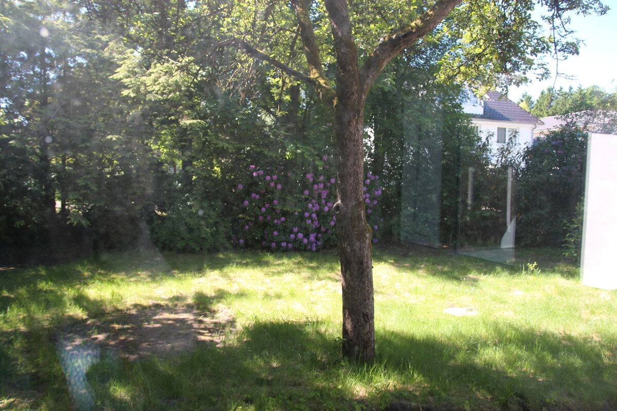 Blick in den Garten