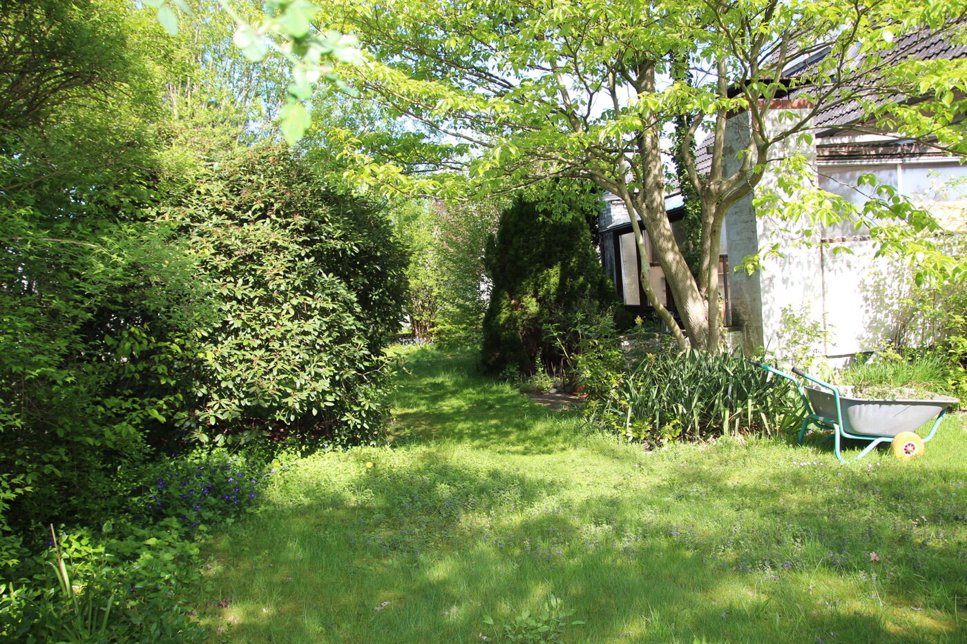 Gartenareal mit gewachsenen Wegen und Bepflanzung