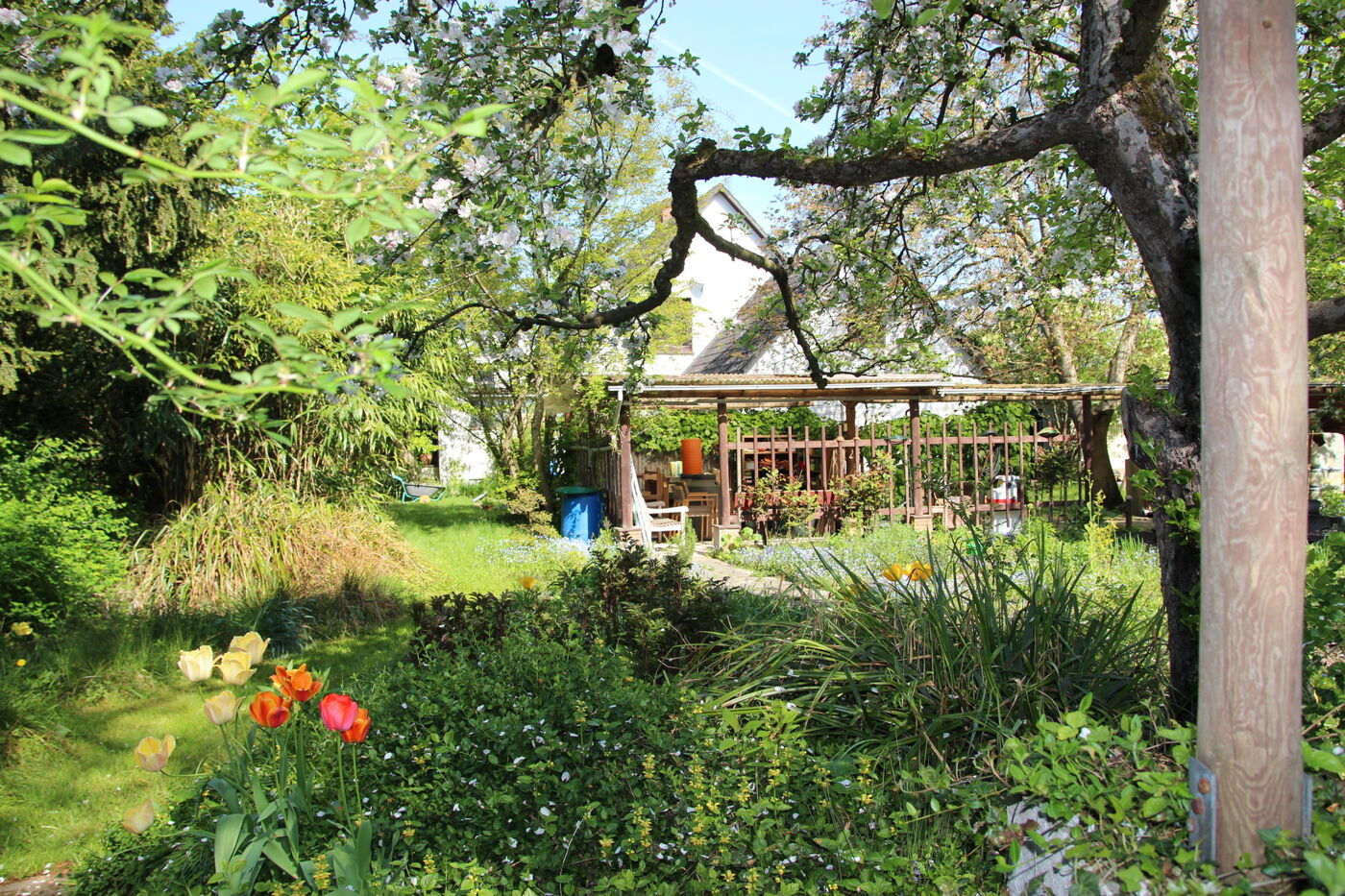 Eingewachsener Gartenbereich mit altem Baumbestand