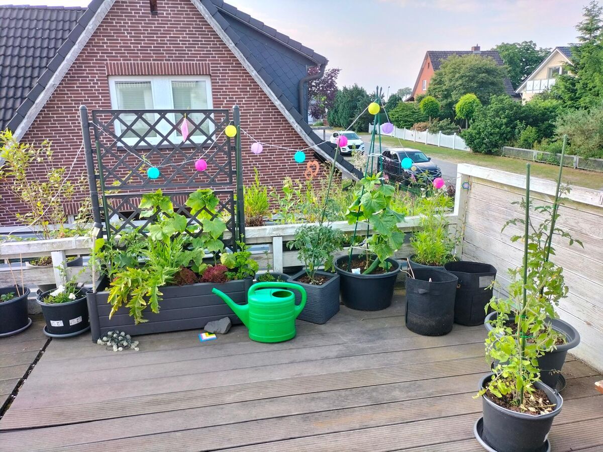 OG Terrasse 