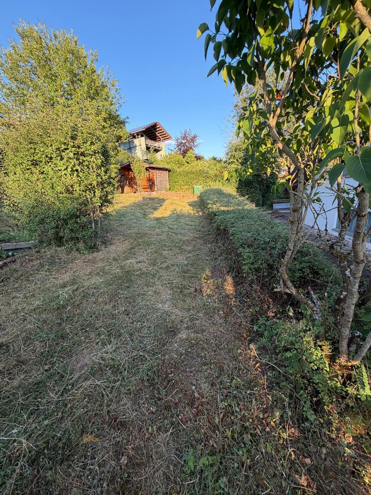 Gartenansicht1