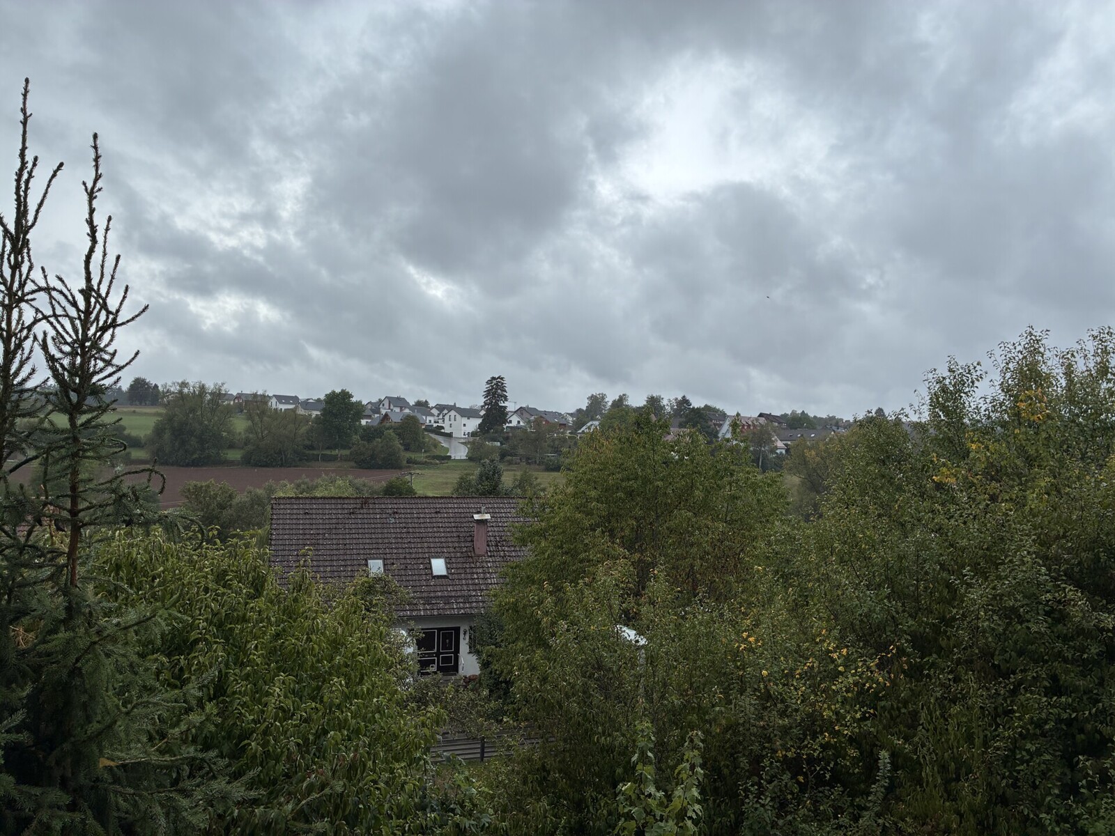 Aussicht Balkon EG