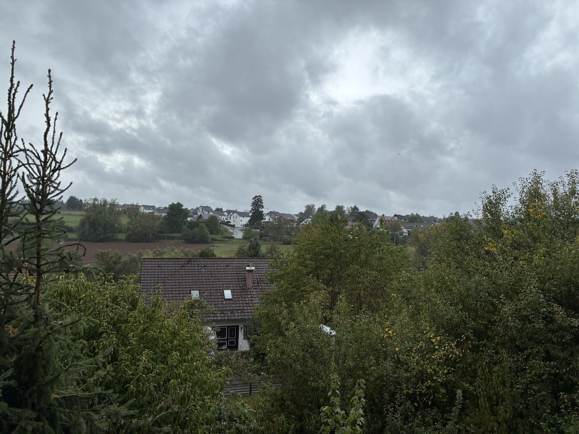 Aussicht Balkon EG