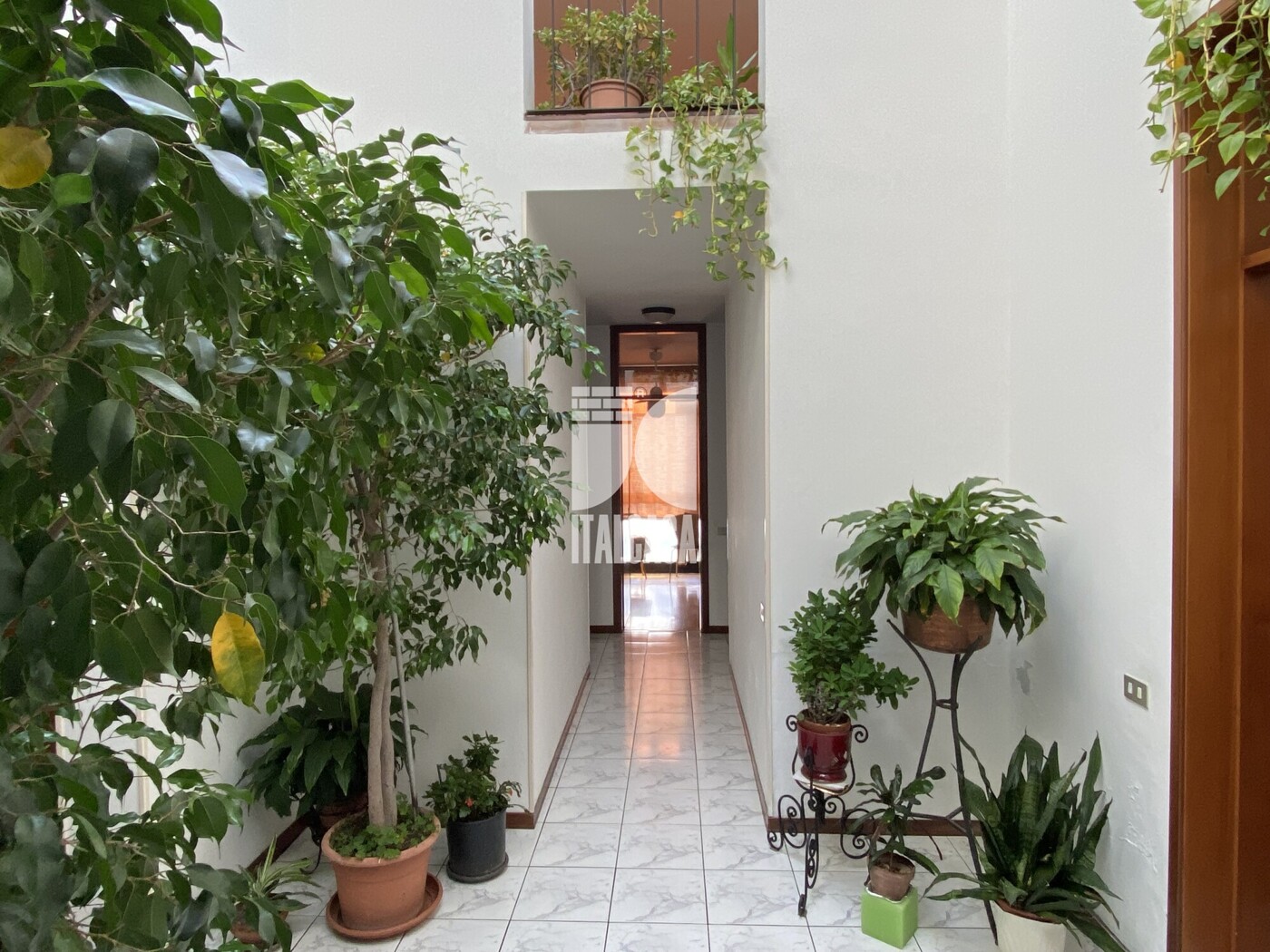 image00047
