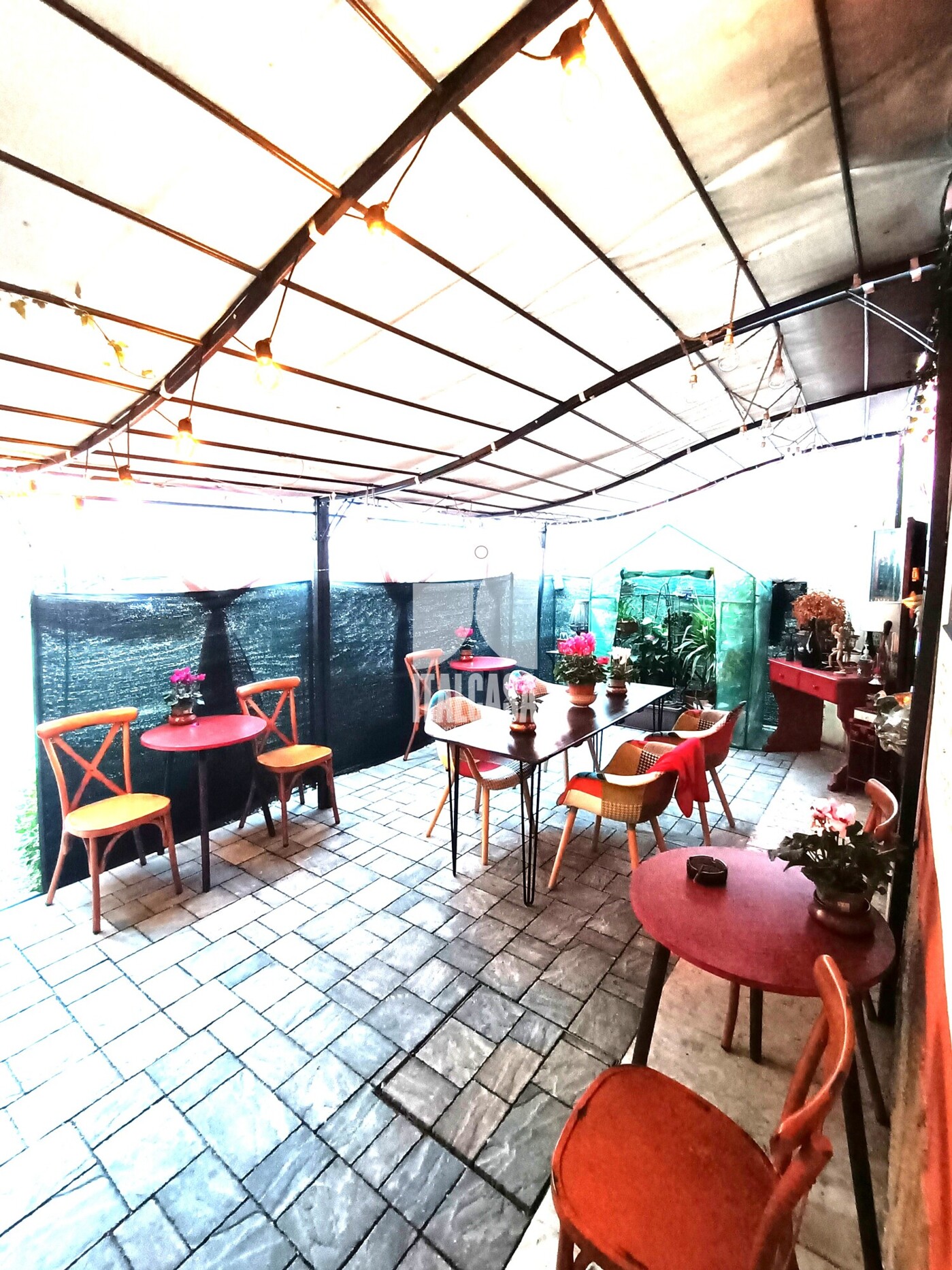 IMG20221107160010