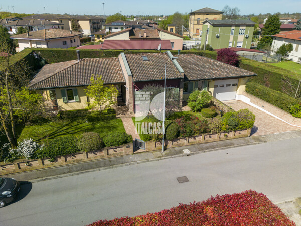 DJI_0979