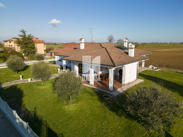 DJI_0462