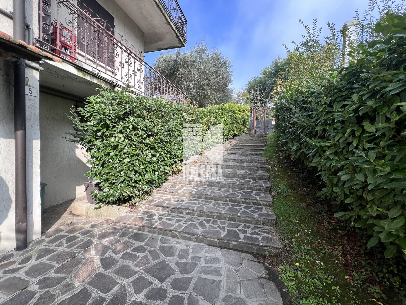 IMG_9559