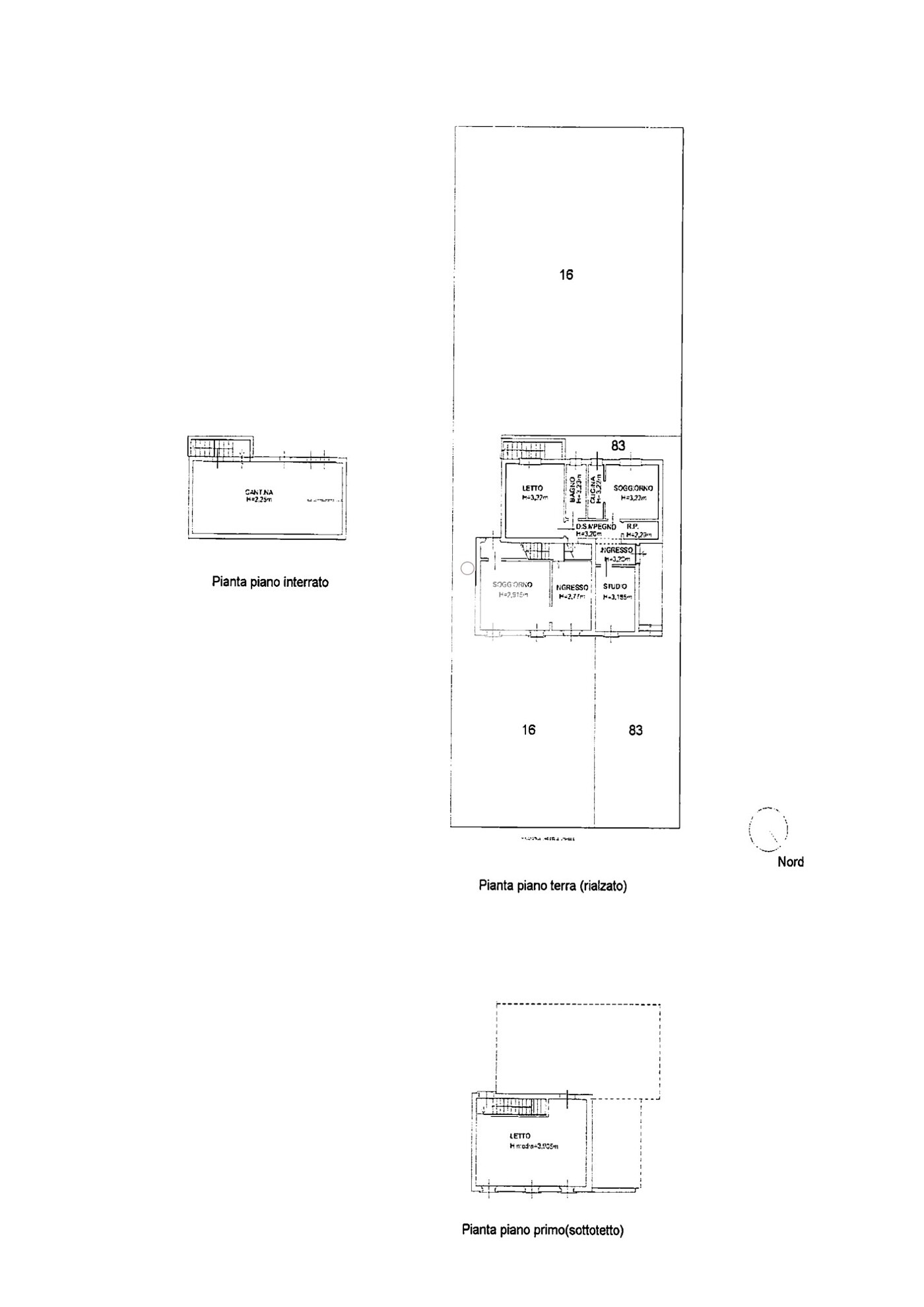 PLAN_nitida