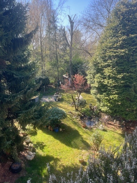 Blick in den Garten