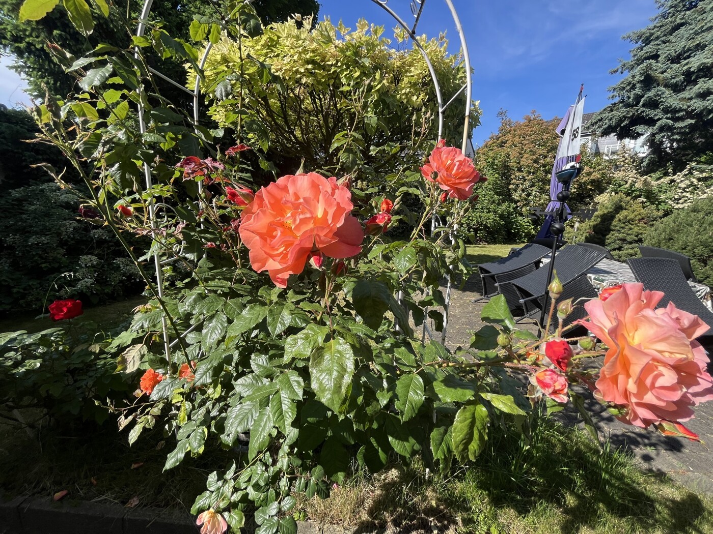 Garten 1